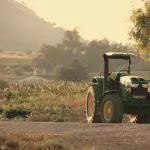 Basilicata, filiere innovative: parte il confronto dai territori per rafforzare il sistema agricolo