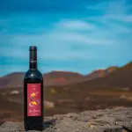 Venosa ospita “Gusto Nobile Basilicata”: tre giorni tra vino e territorio