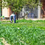Agroalimentare lucano, Bochicchio: “Servono reti e infrastrutture per crescere”
