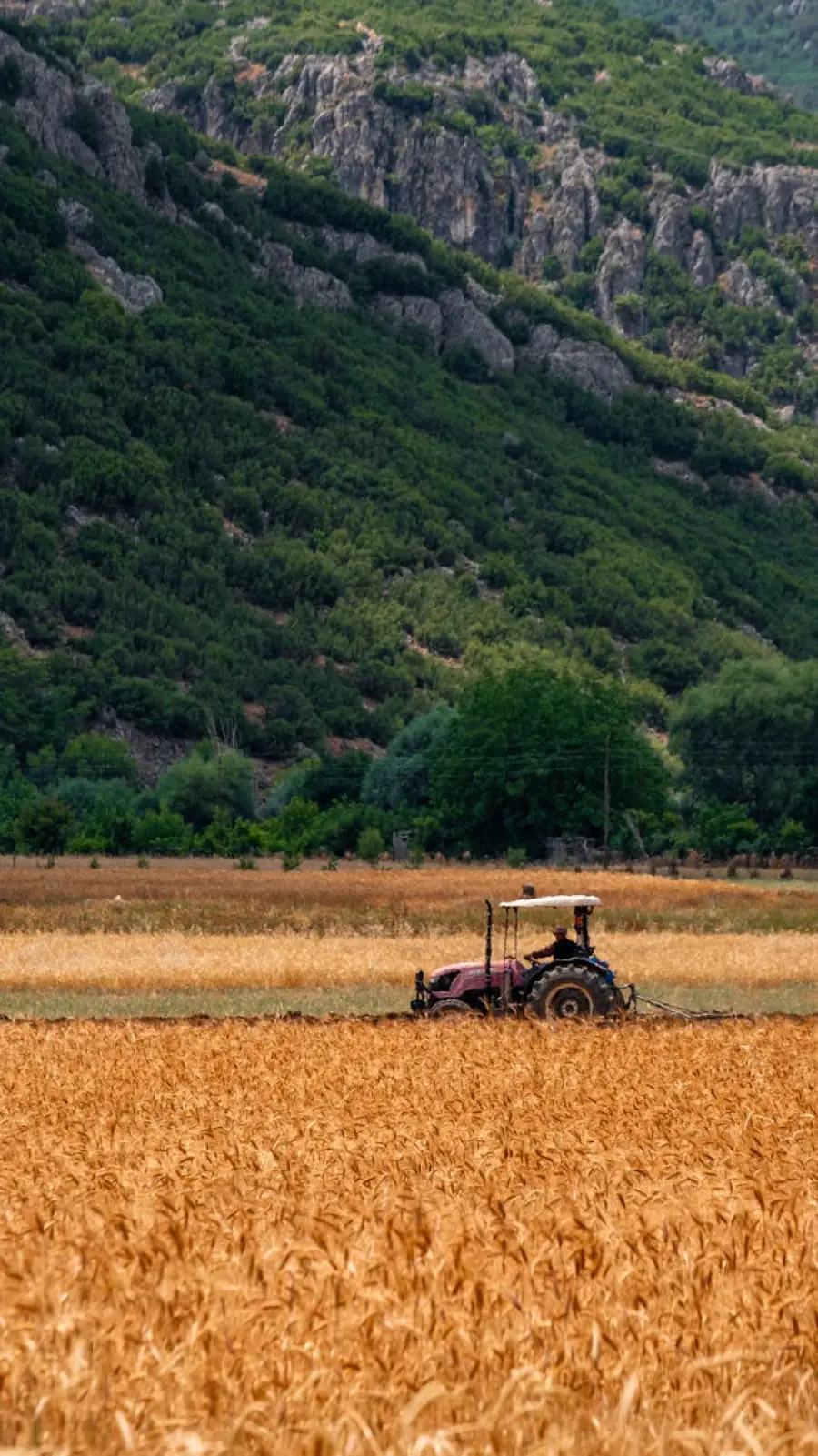 Basilicata, riconosciuto il Distretto del Cibo Alto Basento-Val Camastra: coinvolti 14 Comuni
