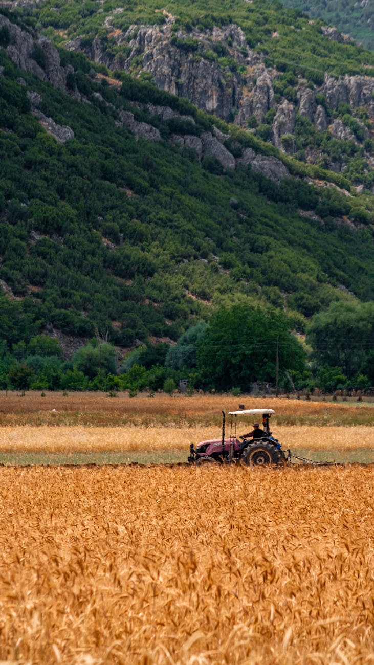 Basilicata, riconosciuto il Distretto del Cibo Alto Basento-Val Camastra: coinvolti 14 Comuni