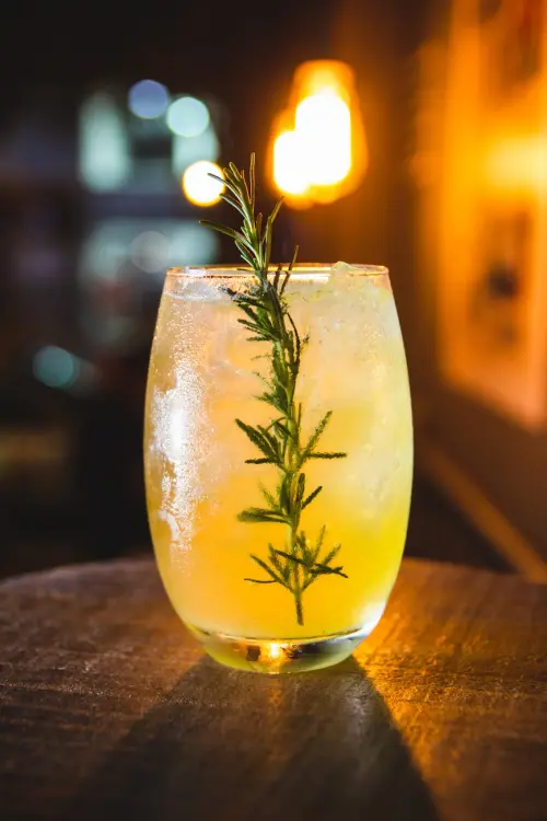 Pollino Cocktail Camp, al via il festival tra erbe aromatiche e mixology nel Parco del Pollino
