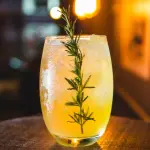 Pollino Cocktail Camp, al via il festival tra erbe aromatiche e mixology nel Parco del Pollino