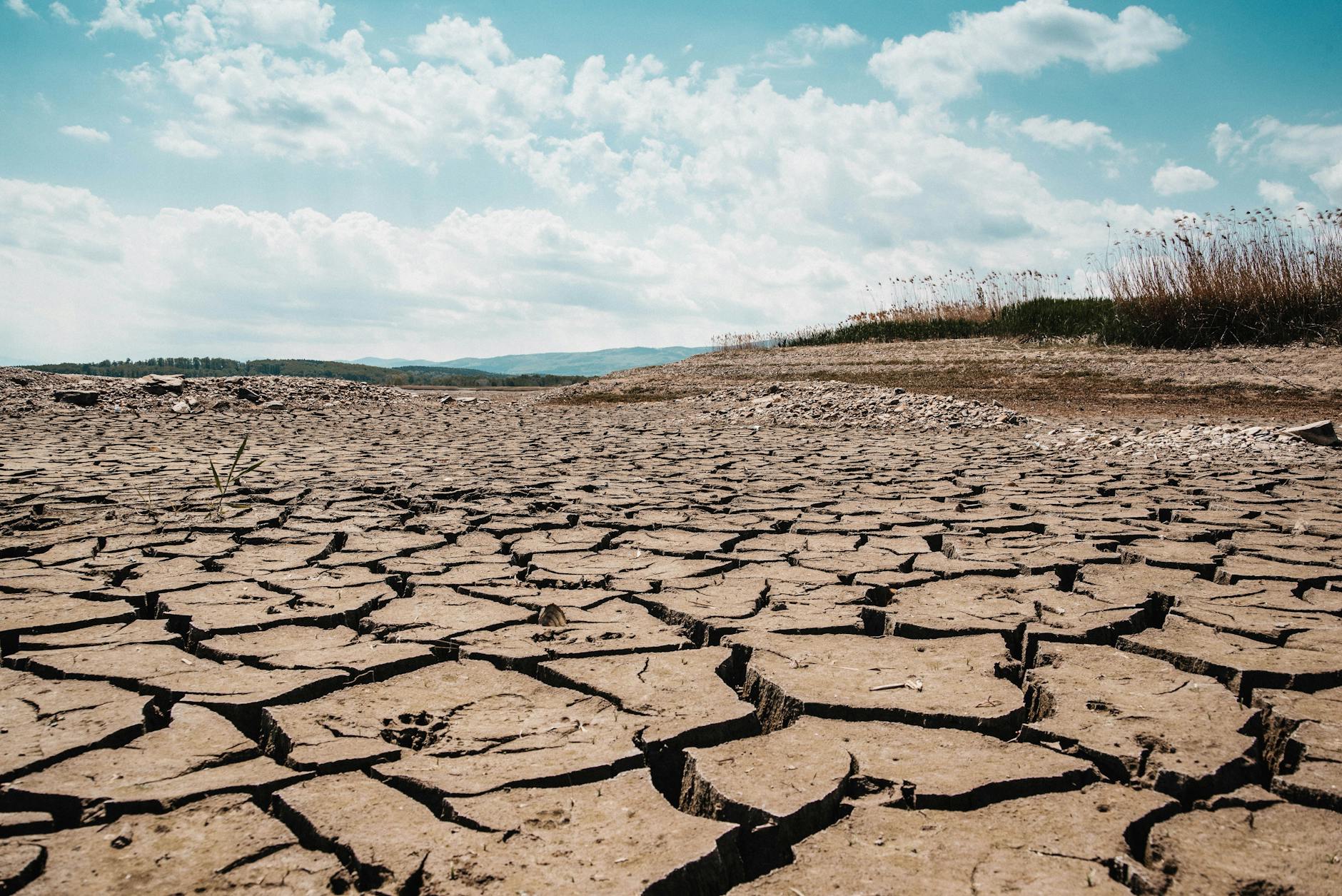 Lavoro all’aperto e caldo estremo, Lacorazza chiede tutele urgenti in Basilicata