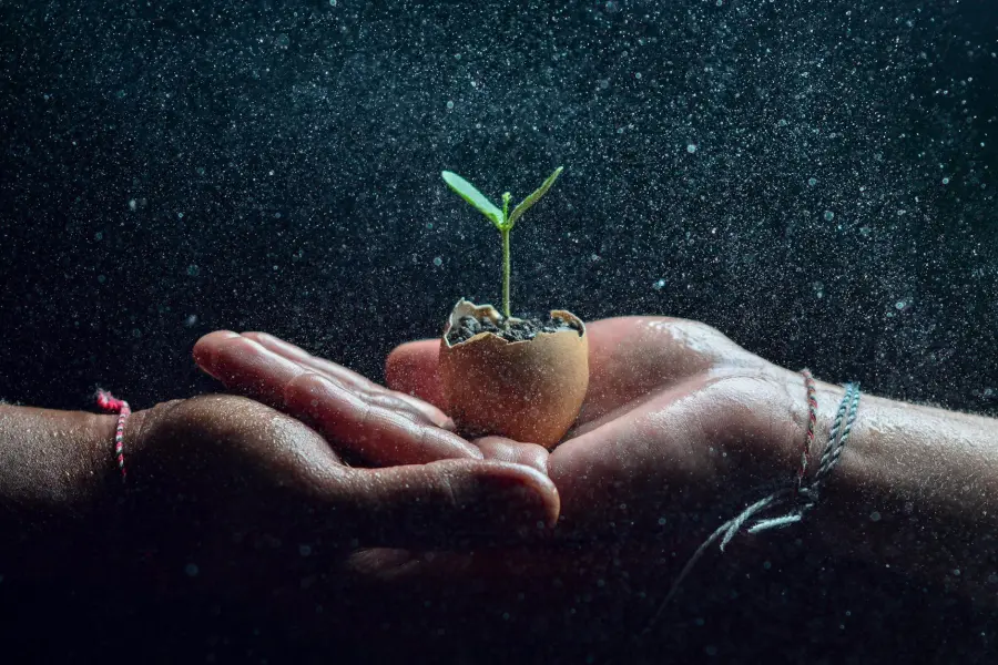 Transizione ecologica e povertà energetica, Lacorazza: “La Basilicata scelga una strategia chiara”