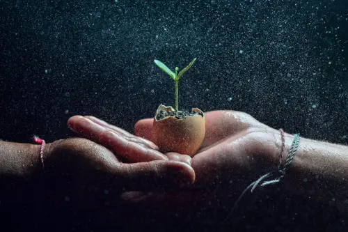 Transizione ecologica e povertà energetica, Lacorazza: “La Basilicata scelga una strategia chiara”