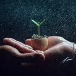 Transizione ecologica e povertà energetica, Lacorazza: “La Basilicata scelga una strategia chiara”