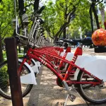 Bici elettrica rubata nel portone di casa: denunciato un 37enne