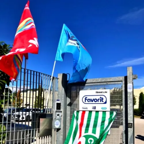 Favorit di Tito Scalo, Demas presenta proposta di acquisizione: possibile rientro per 40 lavoratori